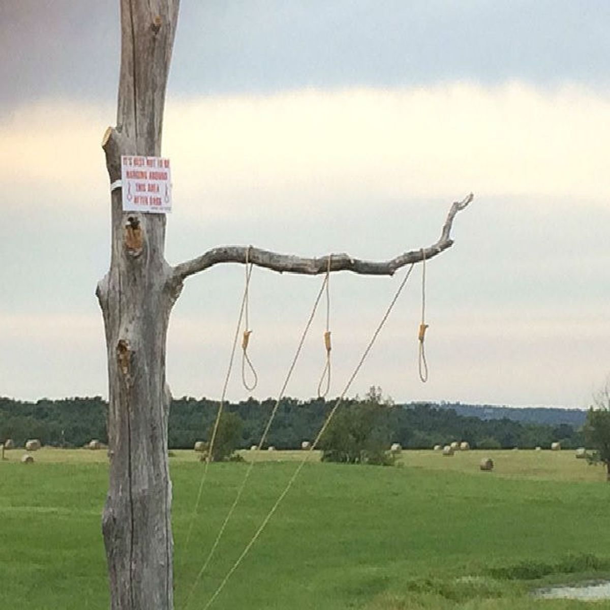 Is Hanging A Noose On A Tree Racist?