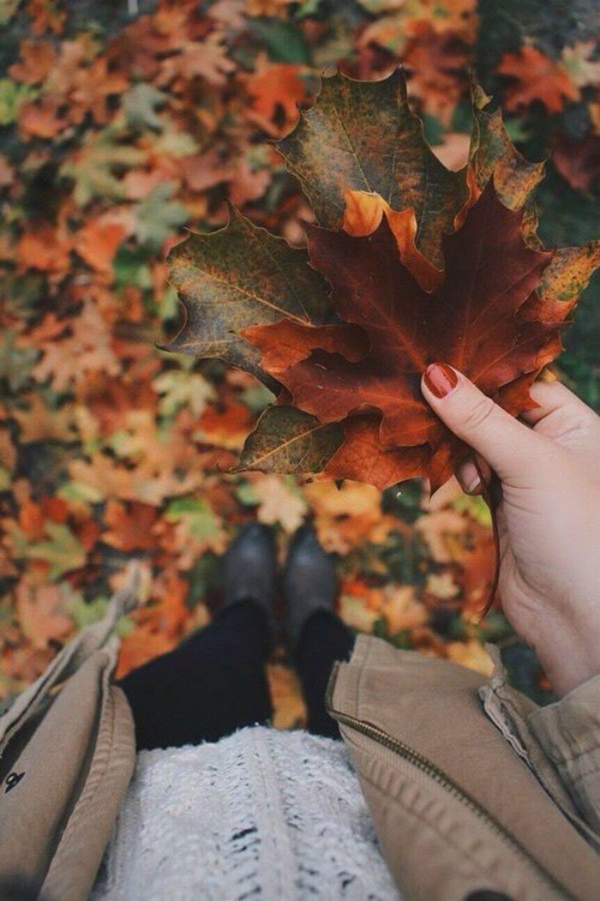 7 Reasons To Be Ready For Fall