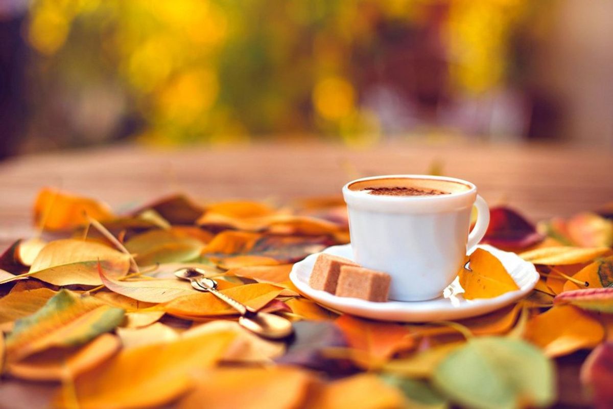 10 Favorite Things About Fall