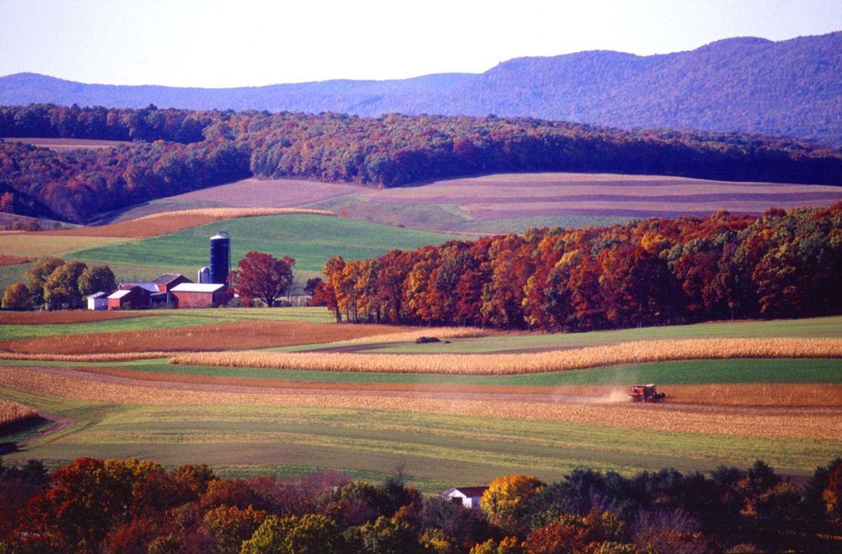 10 Signs You Grew Up On A Farm: By The Kid Who Now Lives In The City