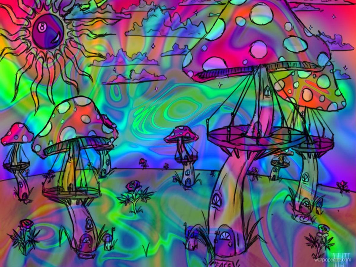 An Exploration Into Psychedelics