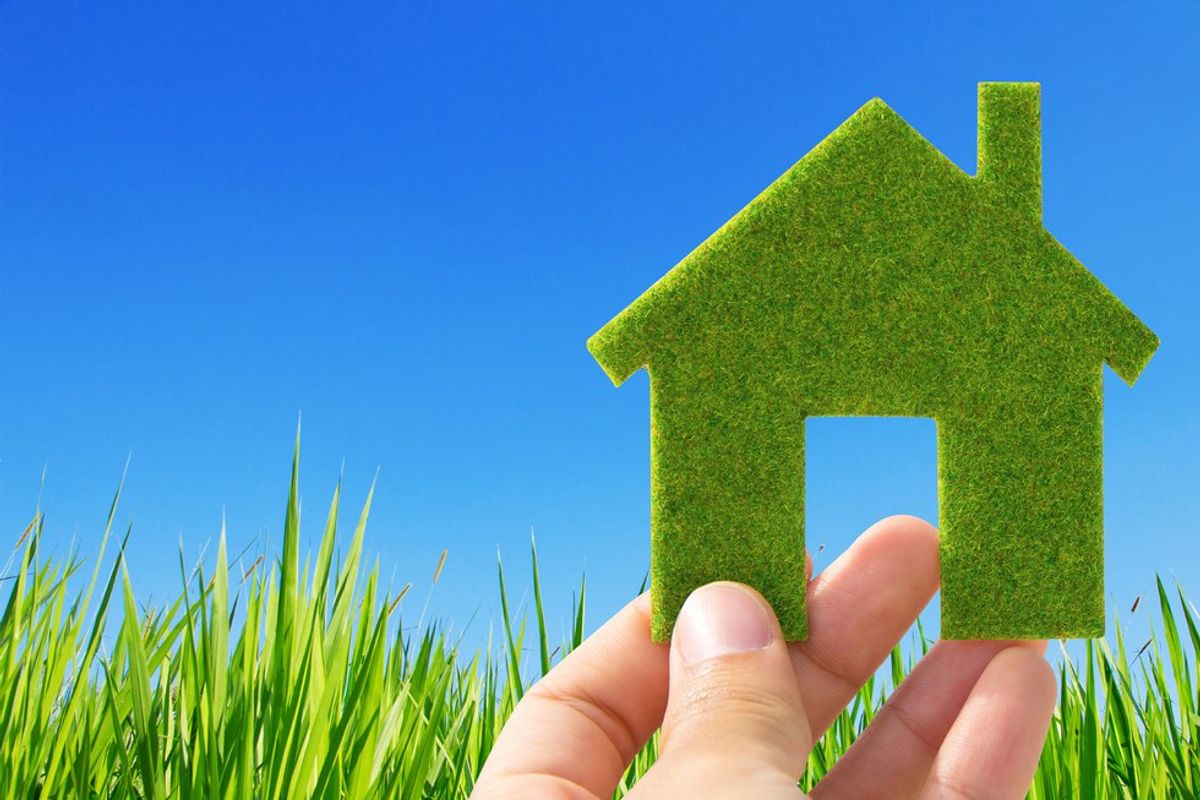 Four Easy Ways to go Green at Home
