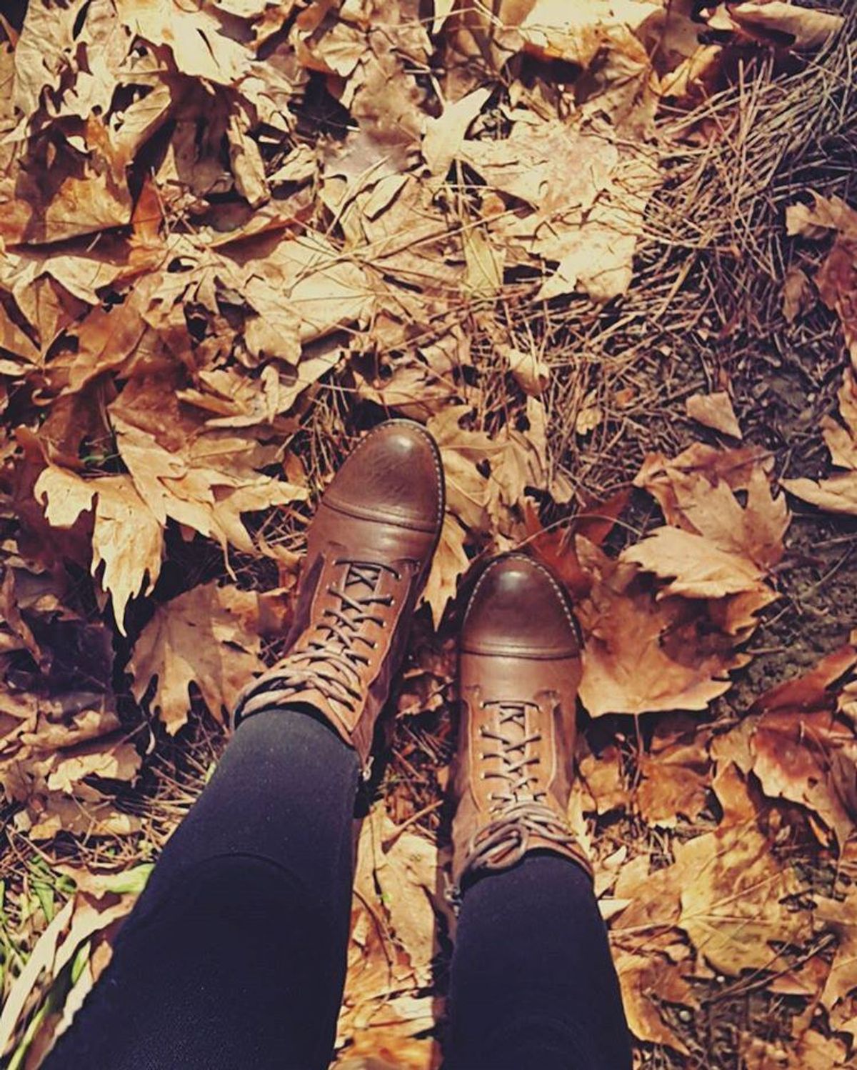 6 Reasons Why I'm Ready For Fall