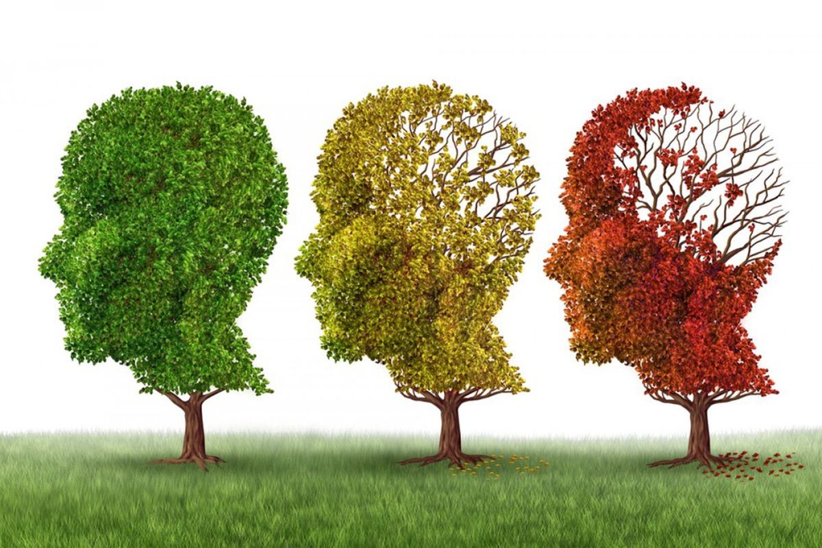 Some Haphazard Thoughts On Alzheimer's