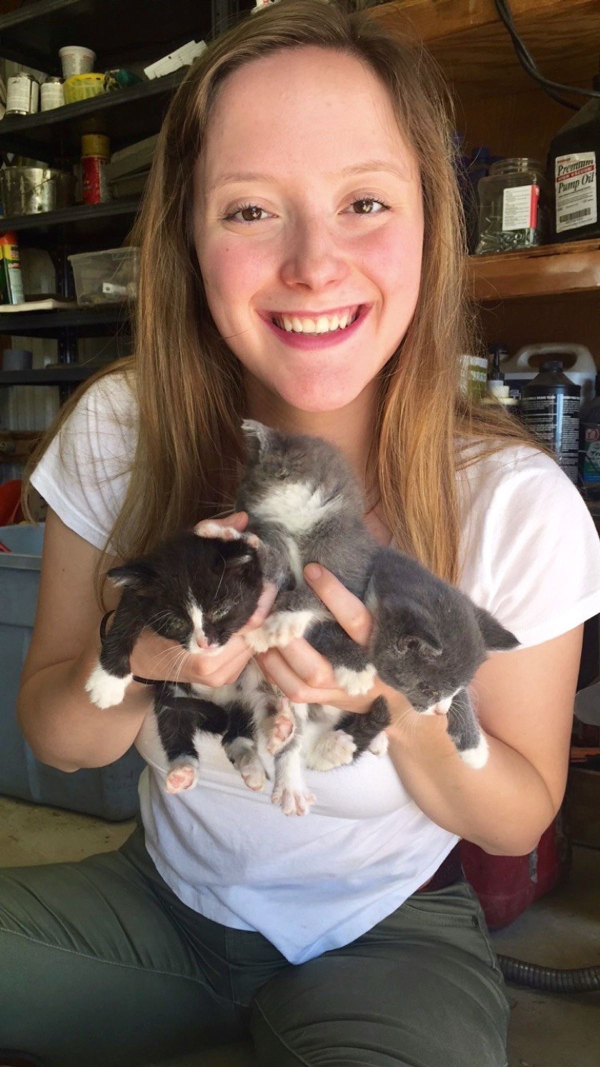 10 Signs You Are A Crazy Cat Lady
