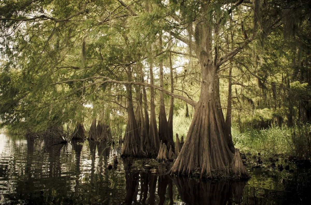 15 Signs You're From Louisiana