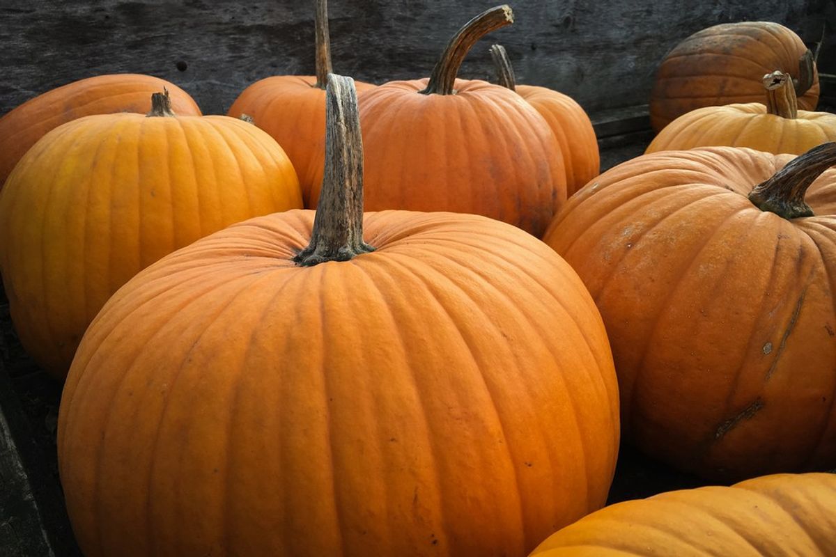 The Top 10 Pumpkin Items To Look Forward To This Fall