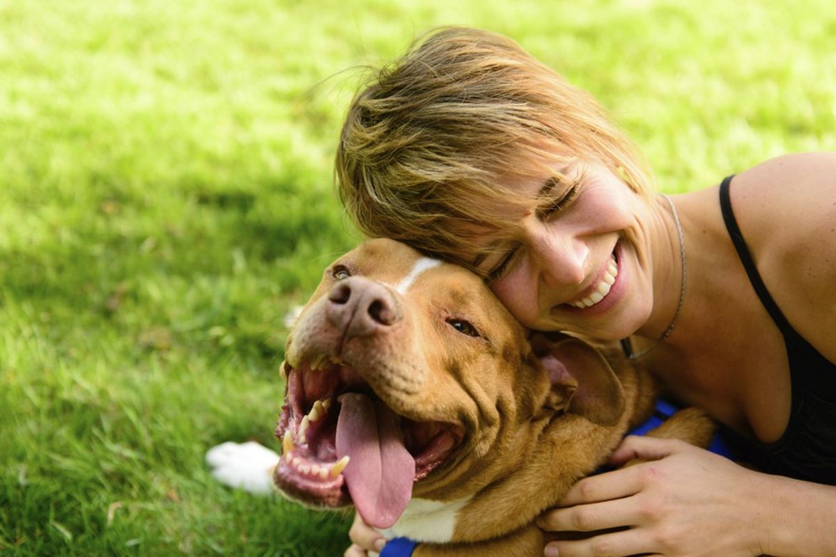 11 Reasons Why It's Great To Be A Dog Person