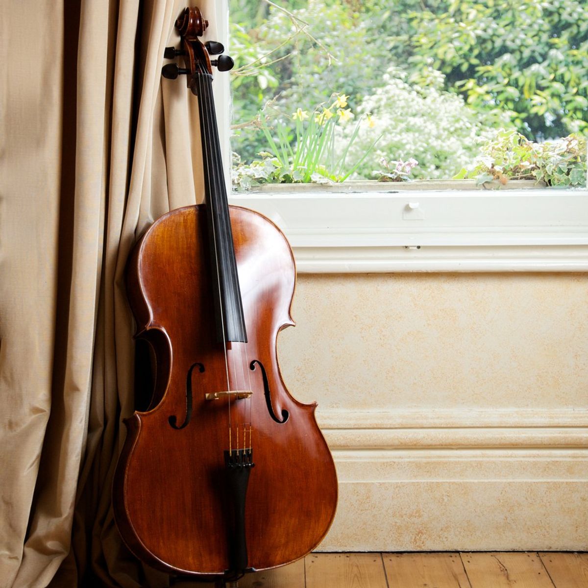 5 Truths Of A Cellist