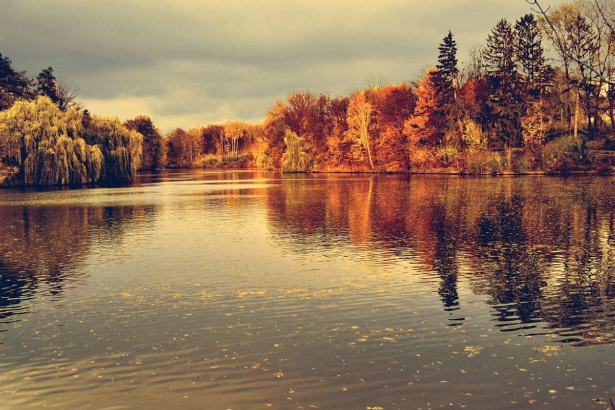 11 Songs To Welcome In Autumn