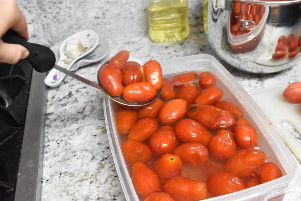 The Death and Times Of Home-Grown Tomatoes