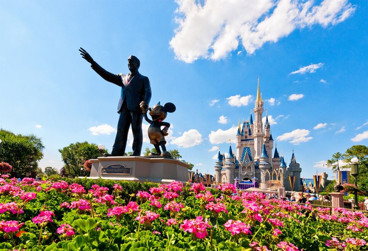 Why I Made The Last-Minute Decision To Apply to the Disney College Program