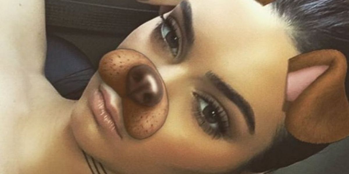 Why The Dog Filter Should Never Be Used