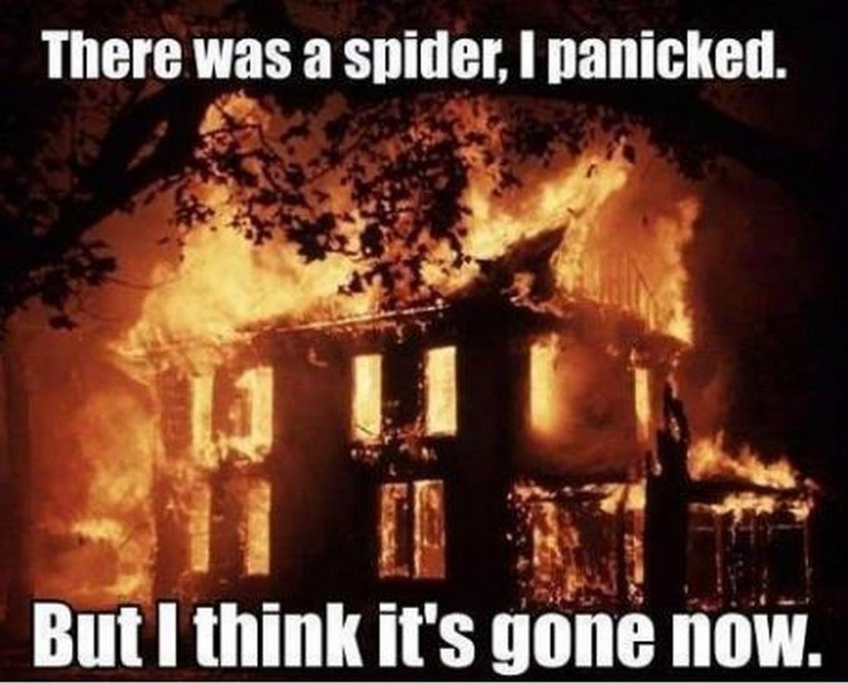 Arachnophobia Struggles