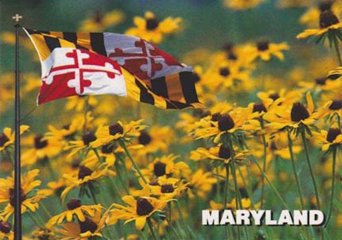5 Thing About Maryland That I Will Miss