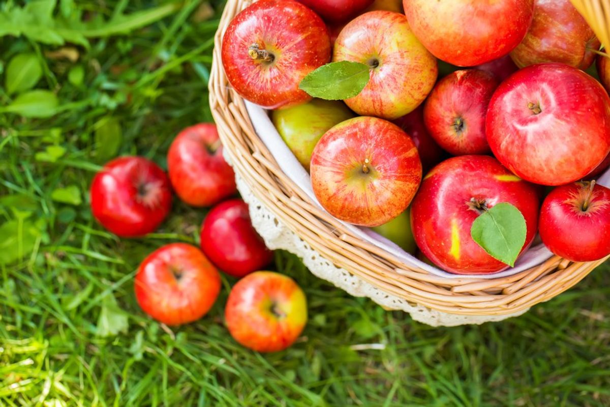 Why Apple Picking Is The Best Way To Kick Off Fall
