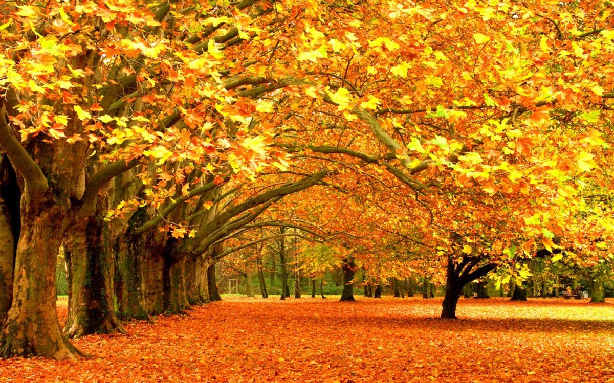 4 Reasons Fall Is The Best Time Of Year