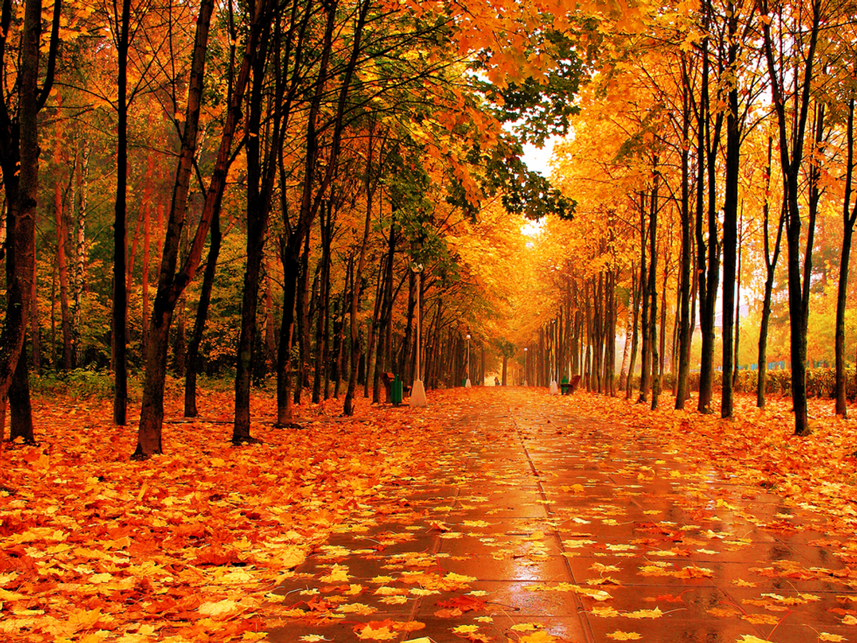 7 Signs You're Ready For Fall