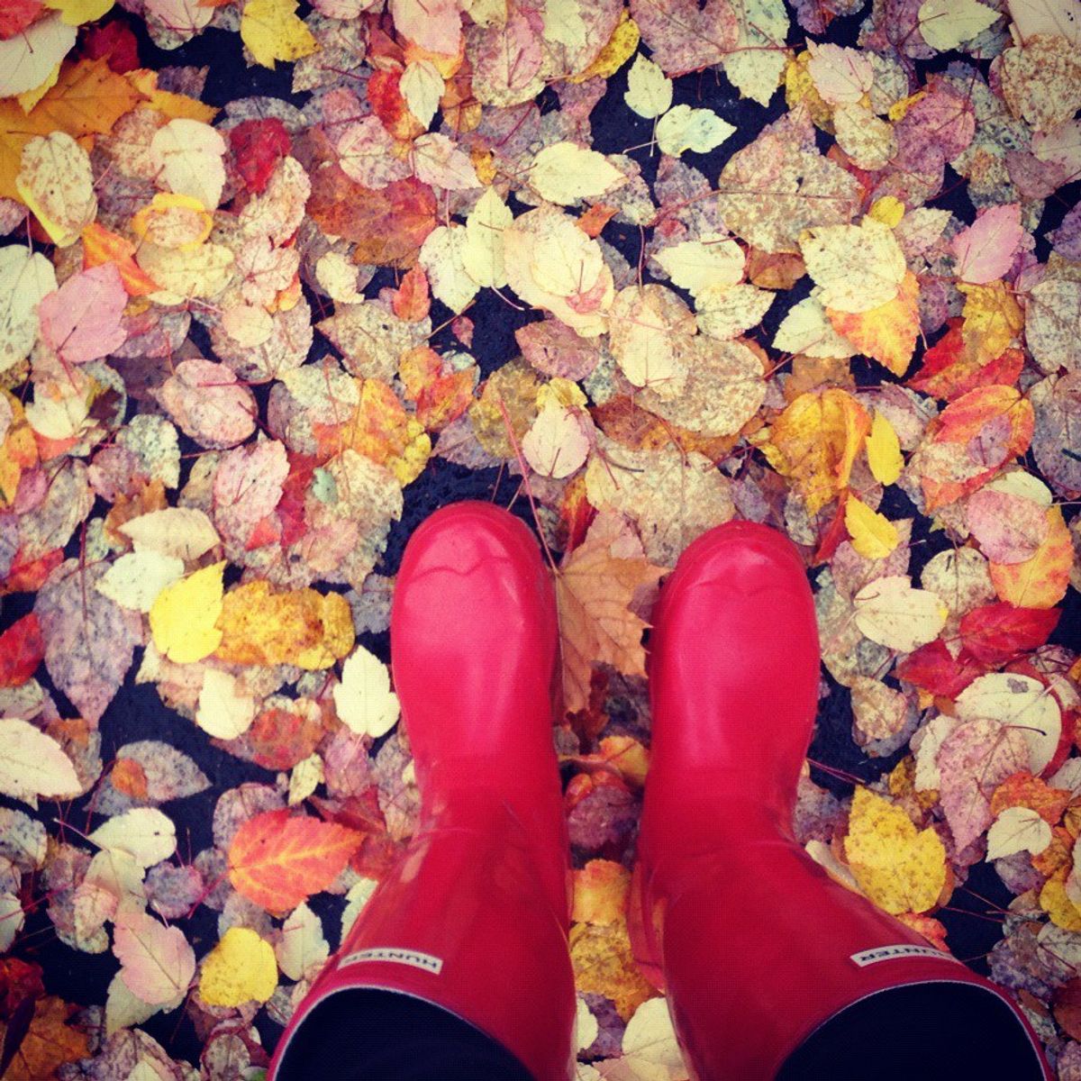 9 things You Should Definitely Be Doing To Get In The Mood For Fall