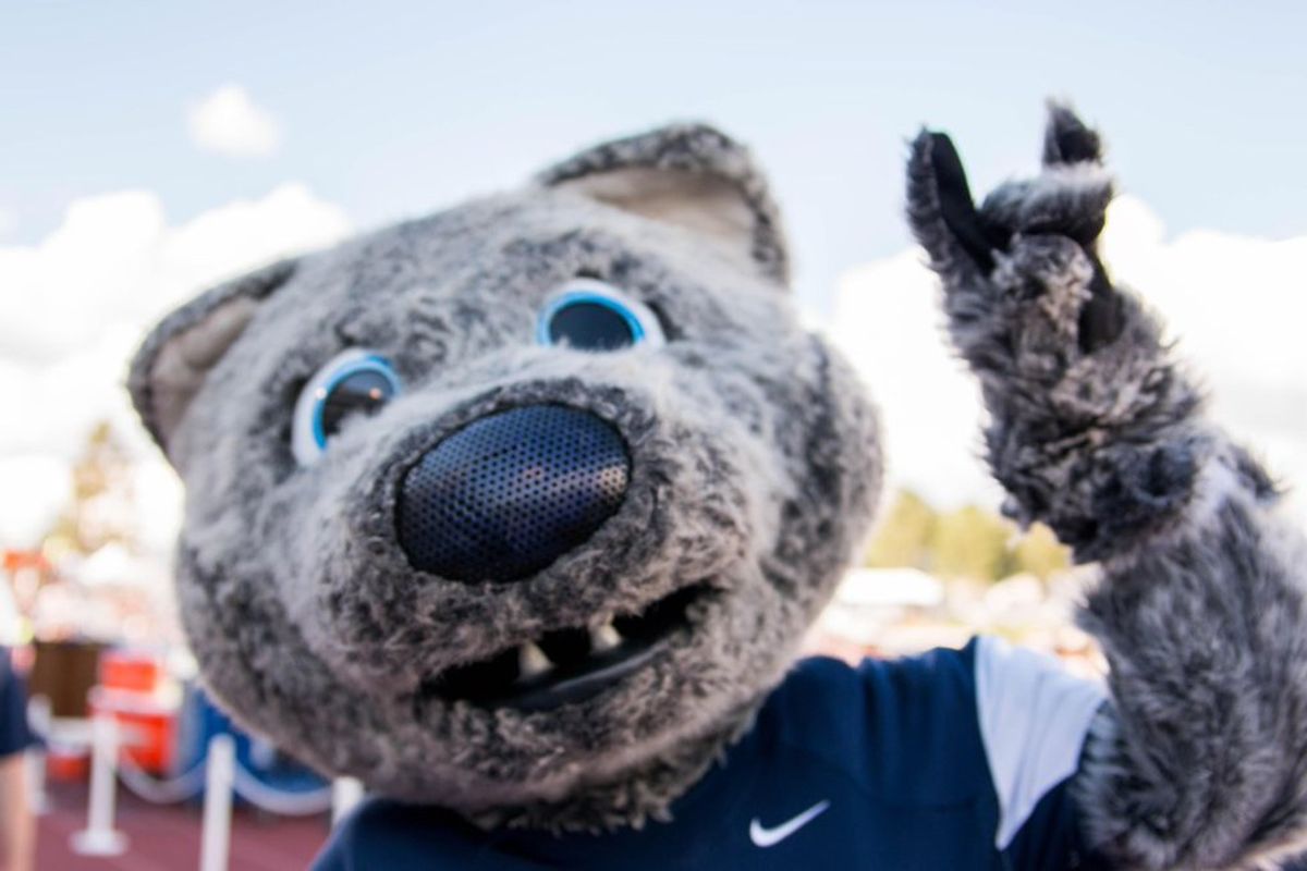 Nevada Wolf Pack -- Are You Ready?