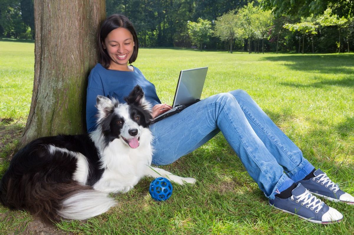 How College Would Be So Much Better With Your Dog