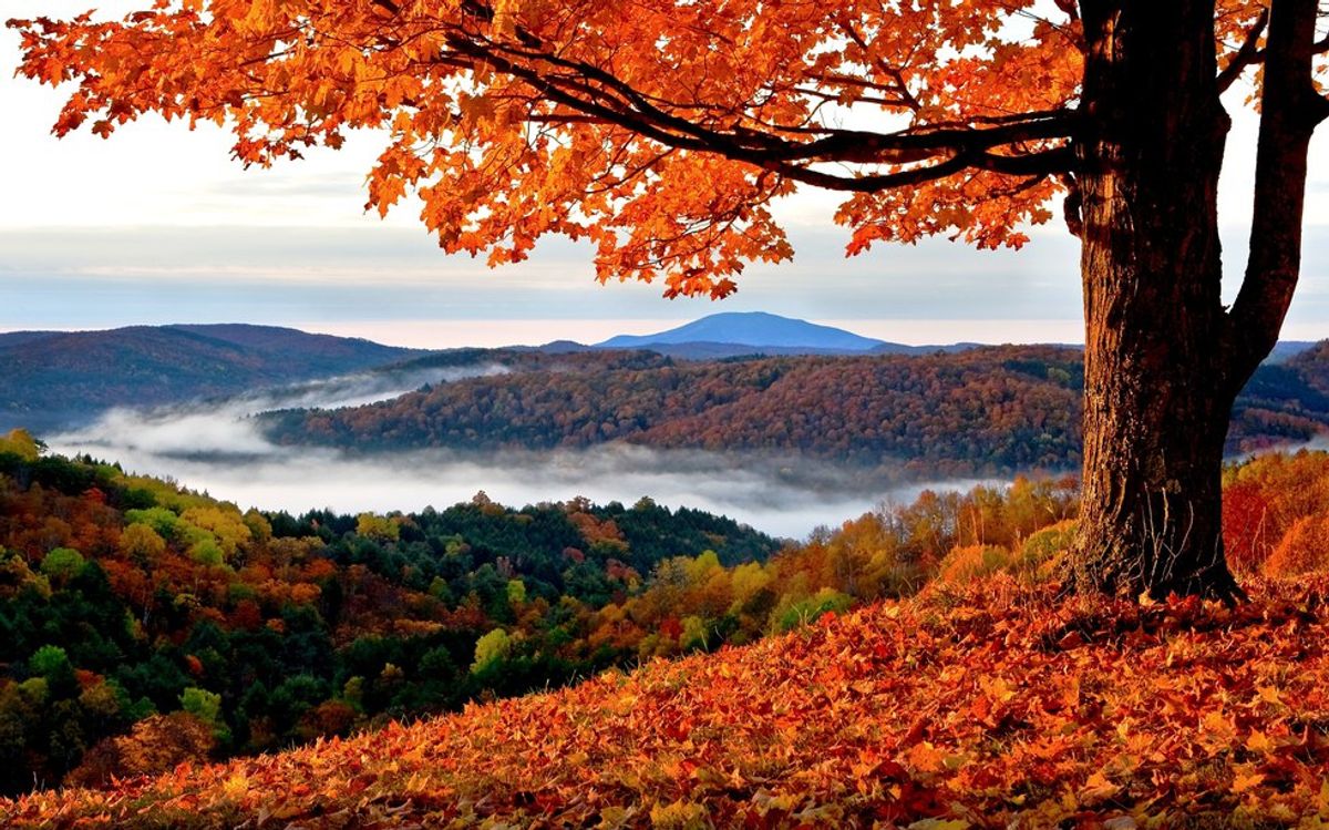 14 Reasons Why Fall Is The Best Time Of Year