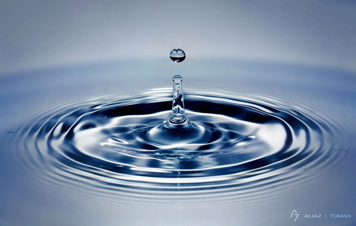 What's Your Ripple Effect?