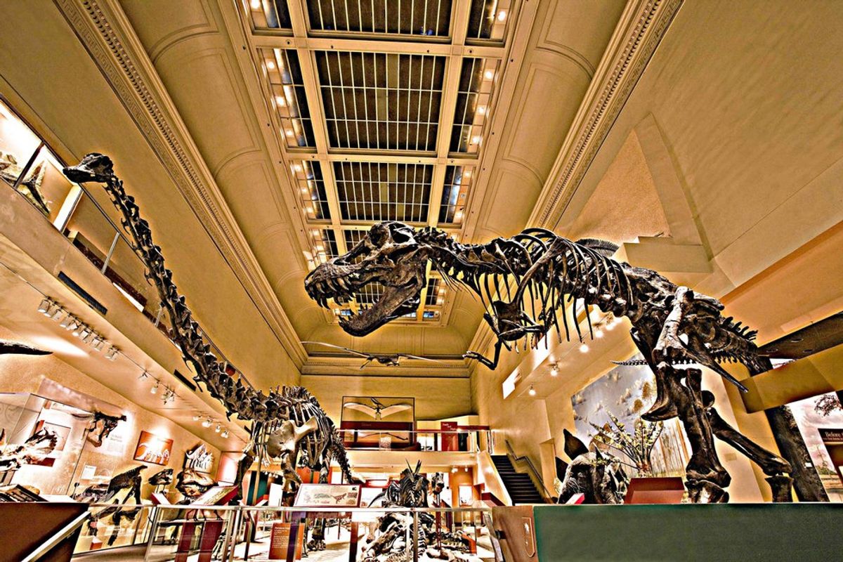 Bringing Museums Into the 21st Century- What next for the Smithsonian?