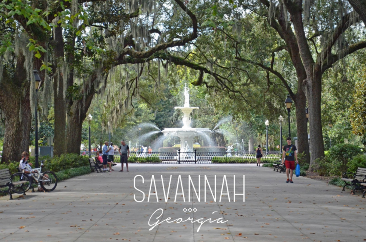 Your Guide to Savannah