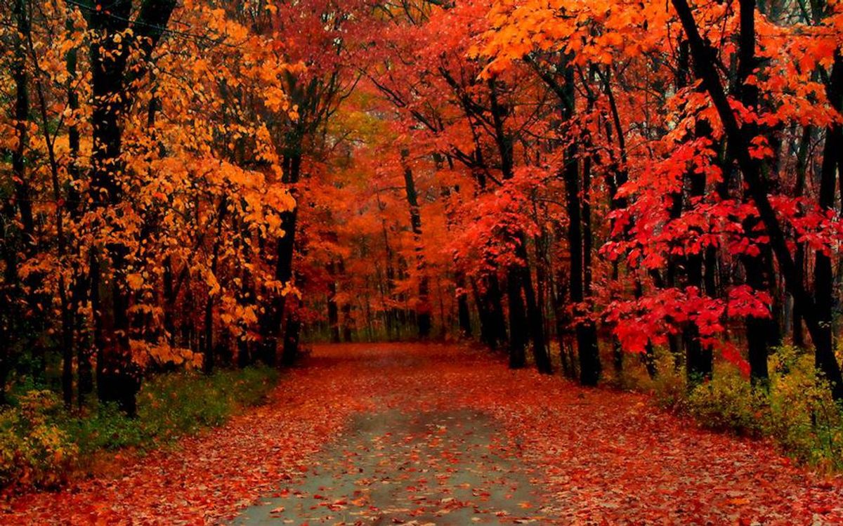 10 Reasons Why Fall Is The Best