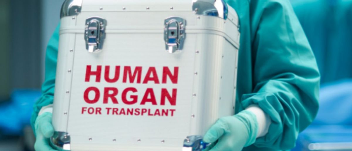 Legalizing the Sale of Human Organs