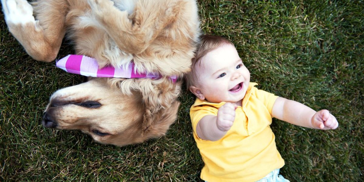 5 Reasons Why Dogs Are Your Best Friends Ever