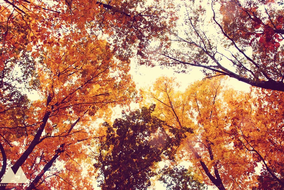10 Reasons Why Fall Is The Best Time Of Year