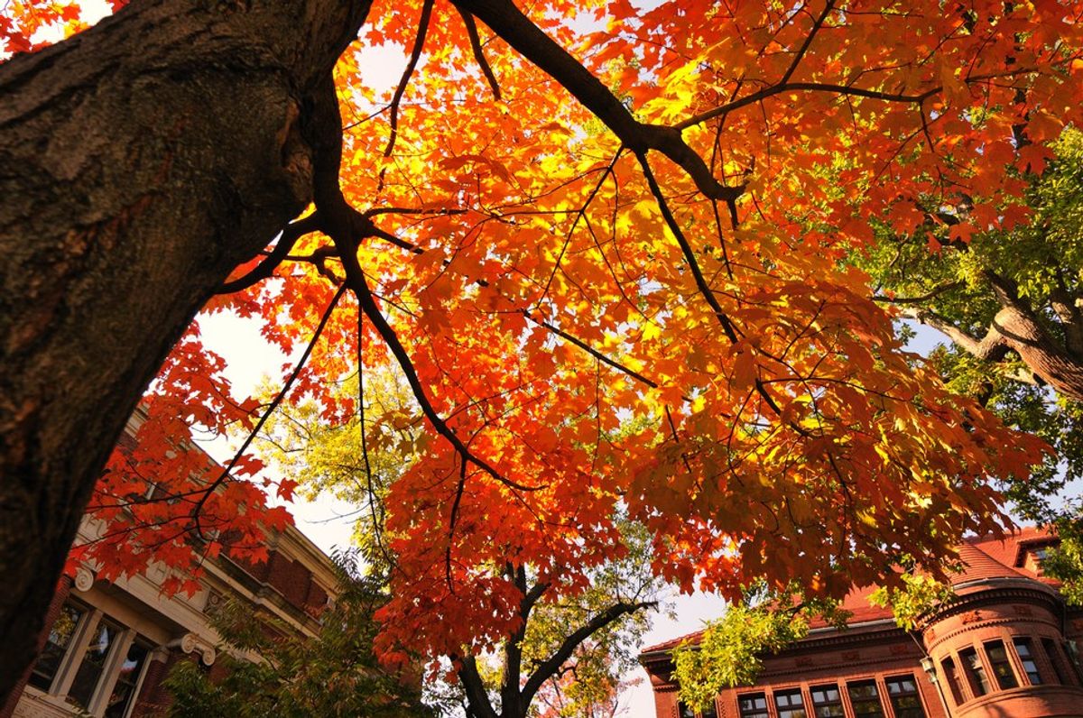 7 Reasons To Love Fall On A College Campus