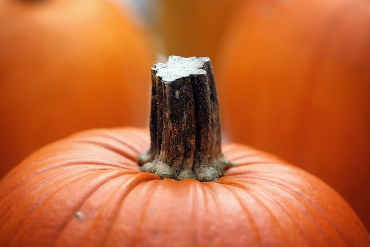 7 Recipes For People To Fall In Love With Pumpkins Just In Time For Fall