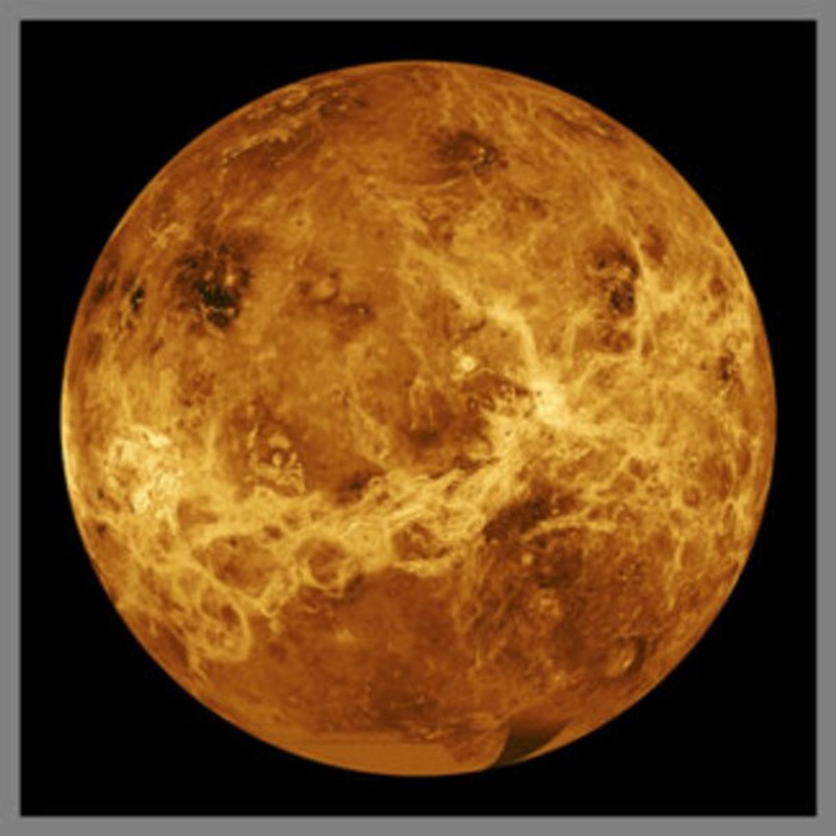 Venus: What You Love