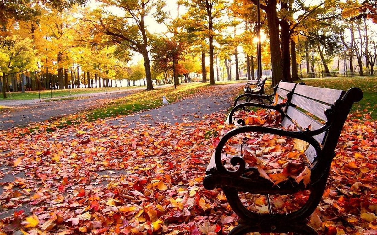 6 Reasons To Fall For Fall