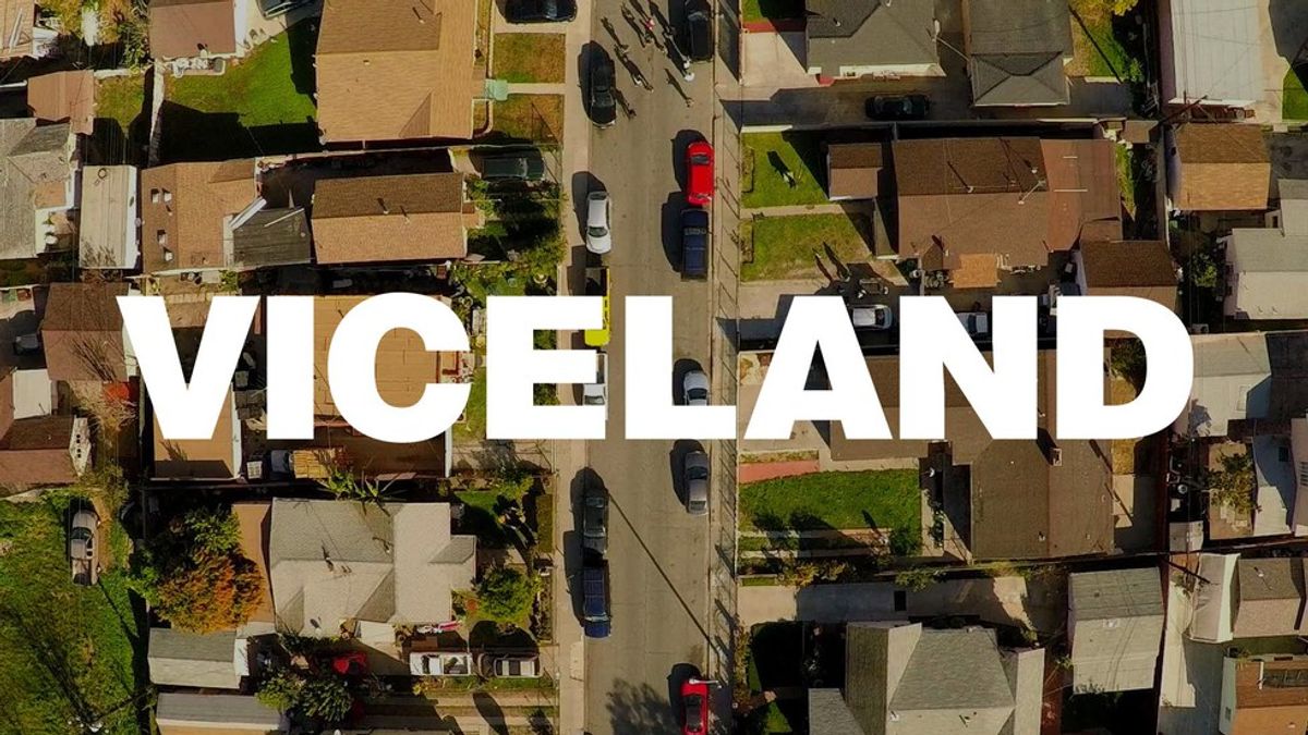Viceland: The Epitome Of Millennial Television
