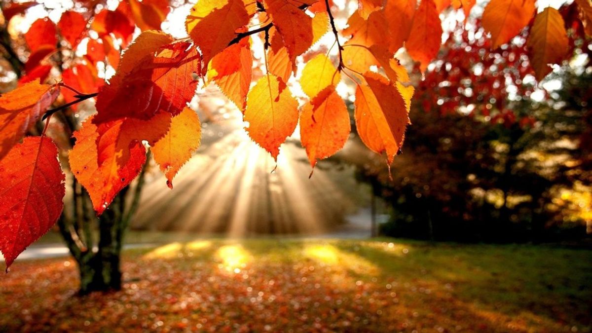 10 Reasons Why Autumn Is My Favorite Season