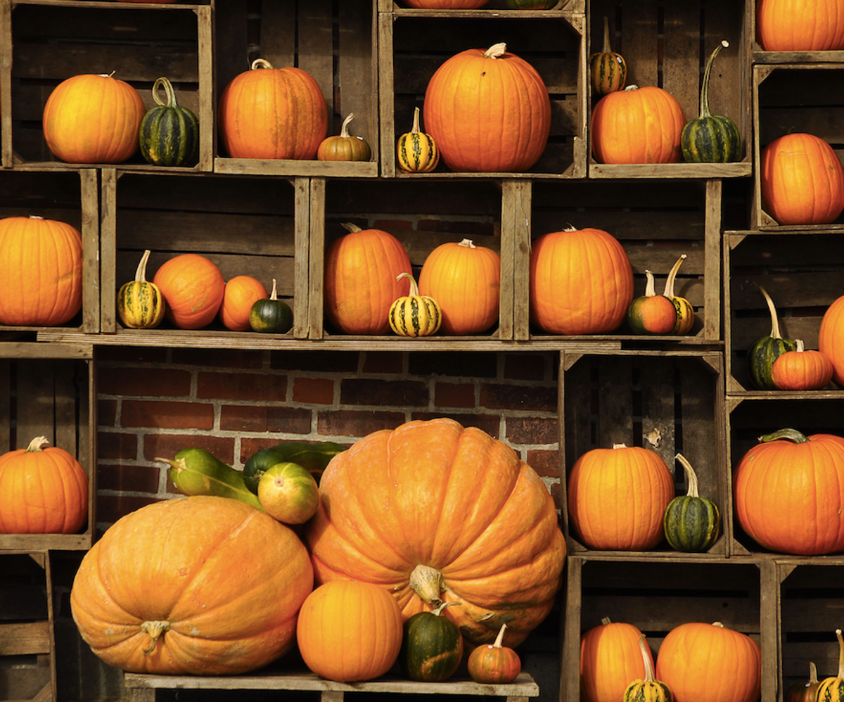 Your Guide To Everything Pumpkin This Fall