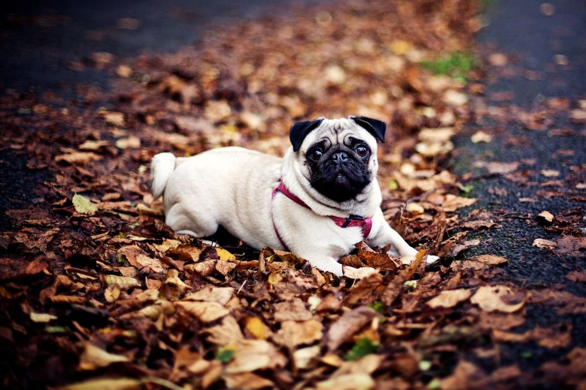 5 Reasons Why The Transition From Summer To Fall Is The Absolute Worst