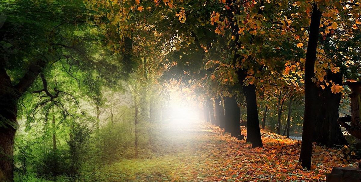 Falling In Love With Fall: 15 Things I'm Most Excited About