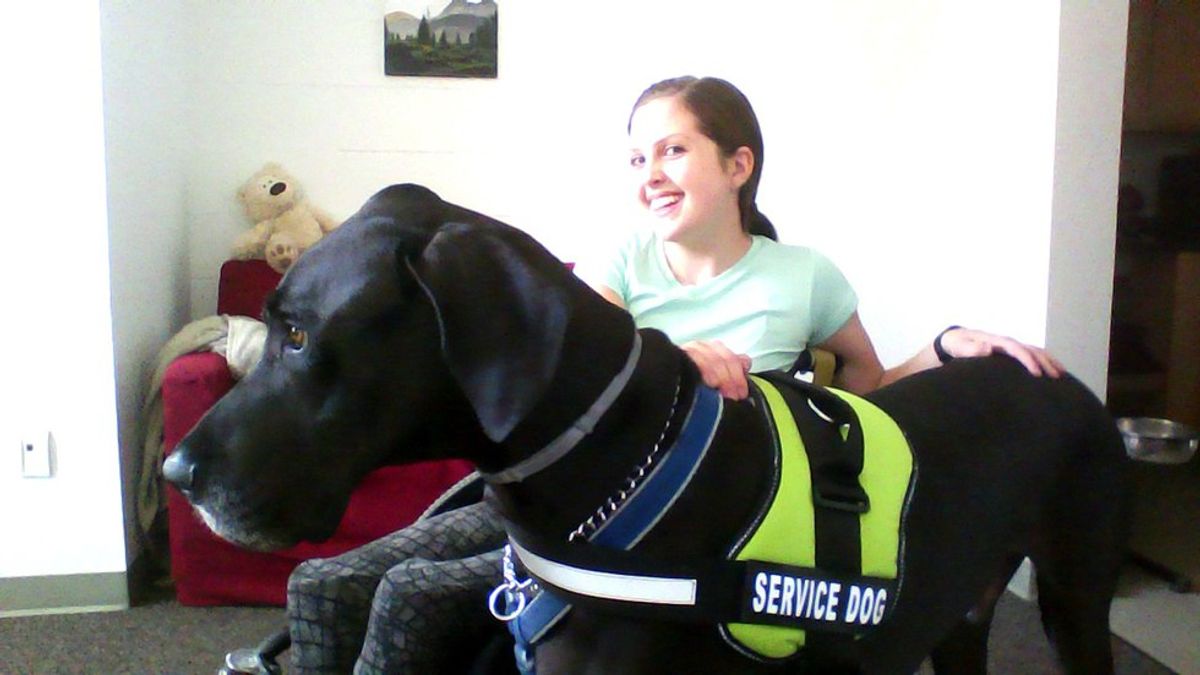 6 Crazy and Funny Service Dog Adventures!