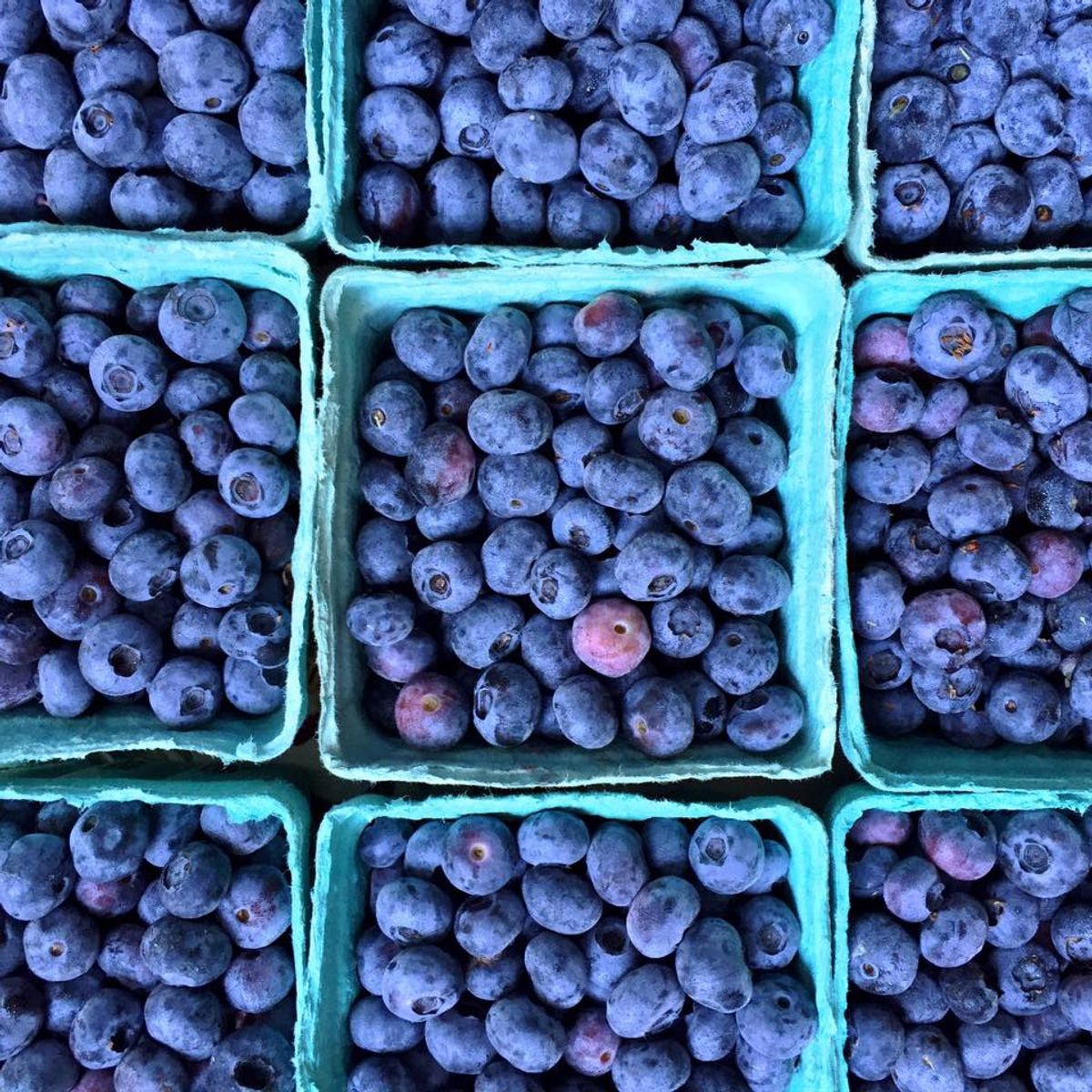 Top 11 Reasons To Shop at Farmers Markets