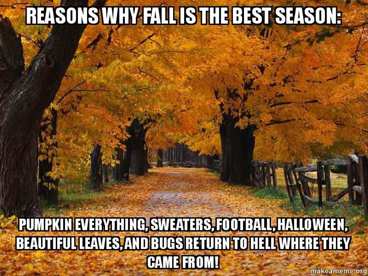 9 Reasons I'm Excited For Fall