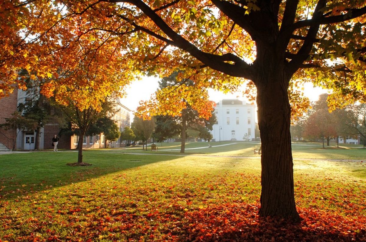 Five Reasons Why Fall Is The Best Season