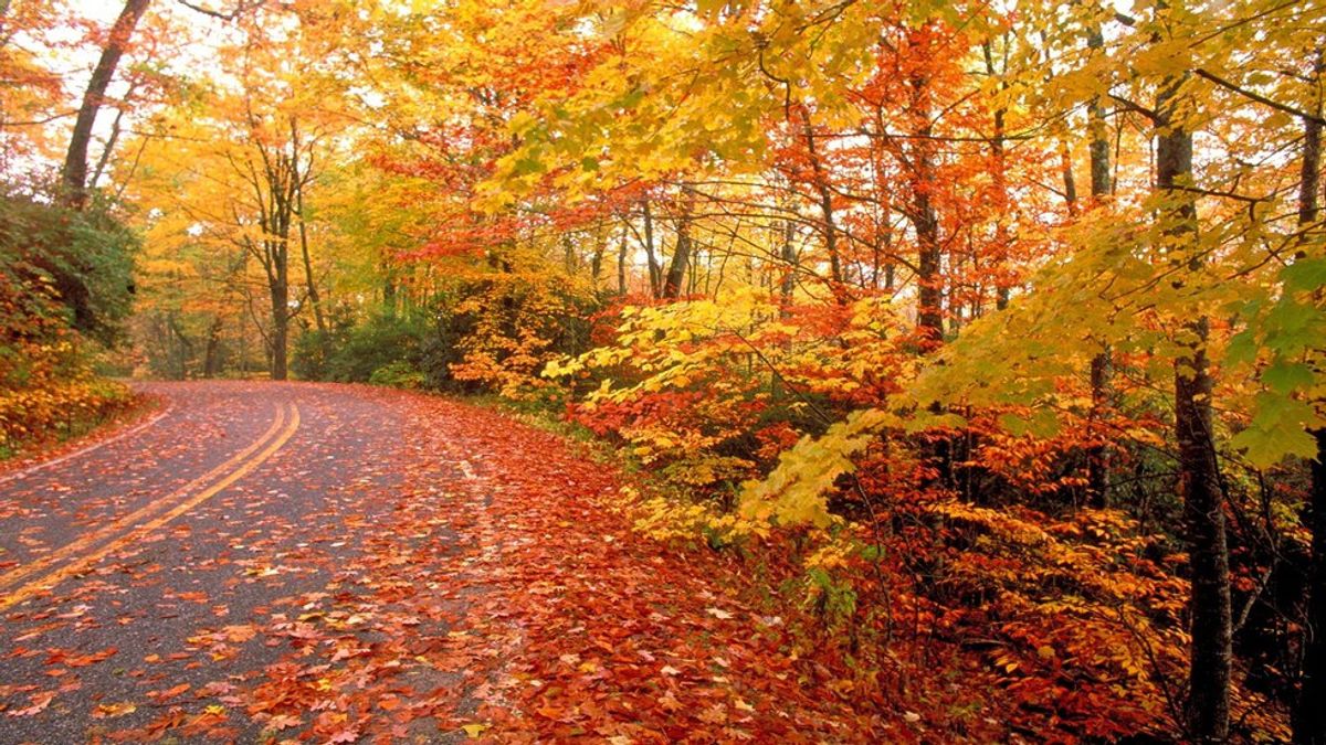 10 Things To Look Forward For Fall