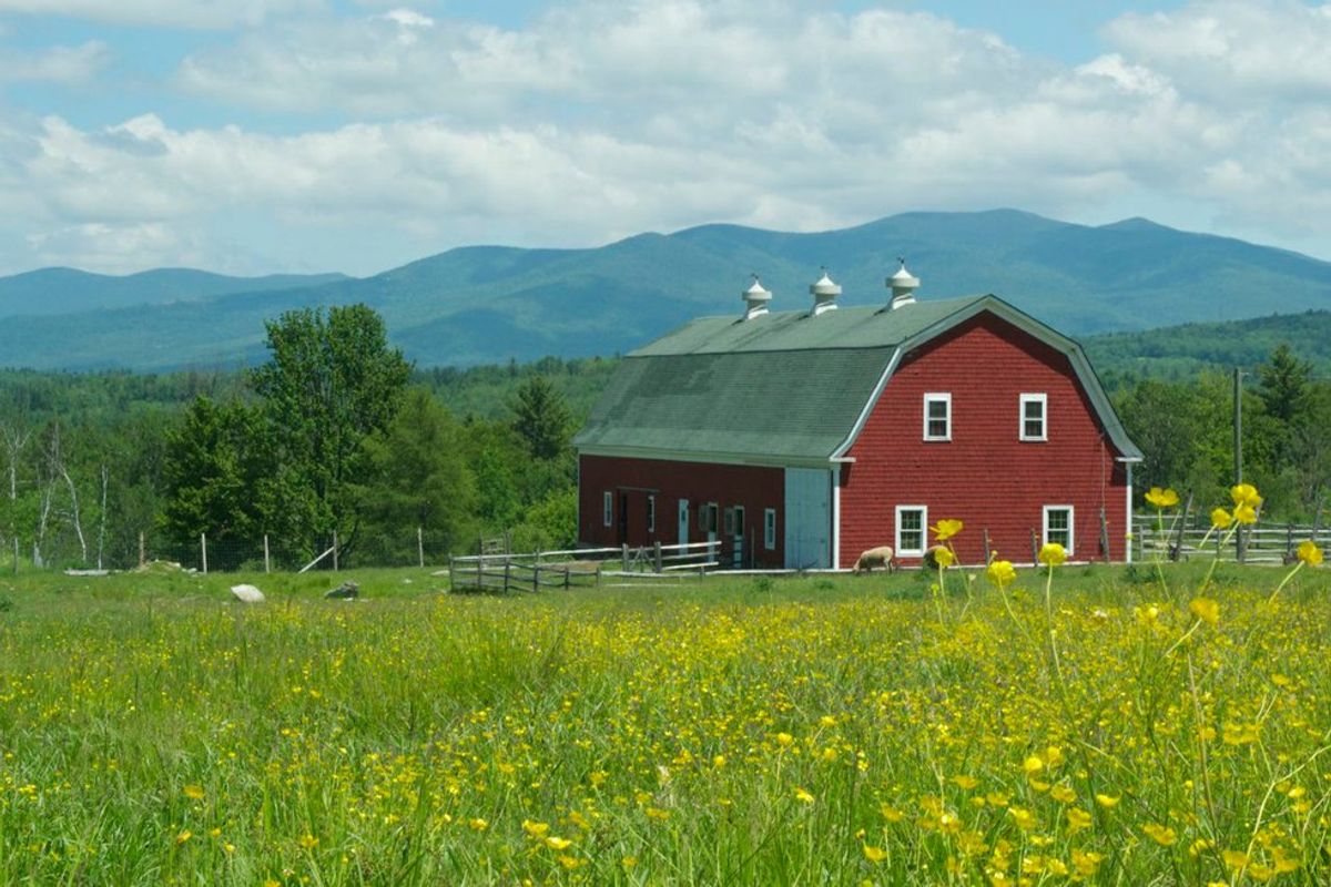 11 Things People Always Ask When You Grew Up On A Farm
