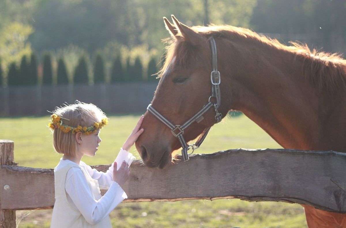 The Value Of Horse Back Riding And Time-Consuming Pursuits