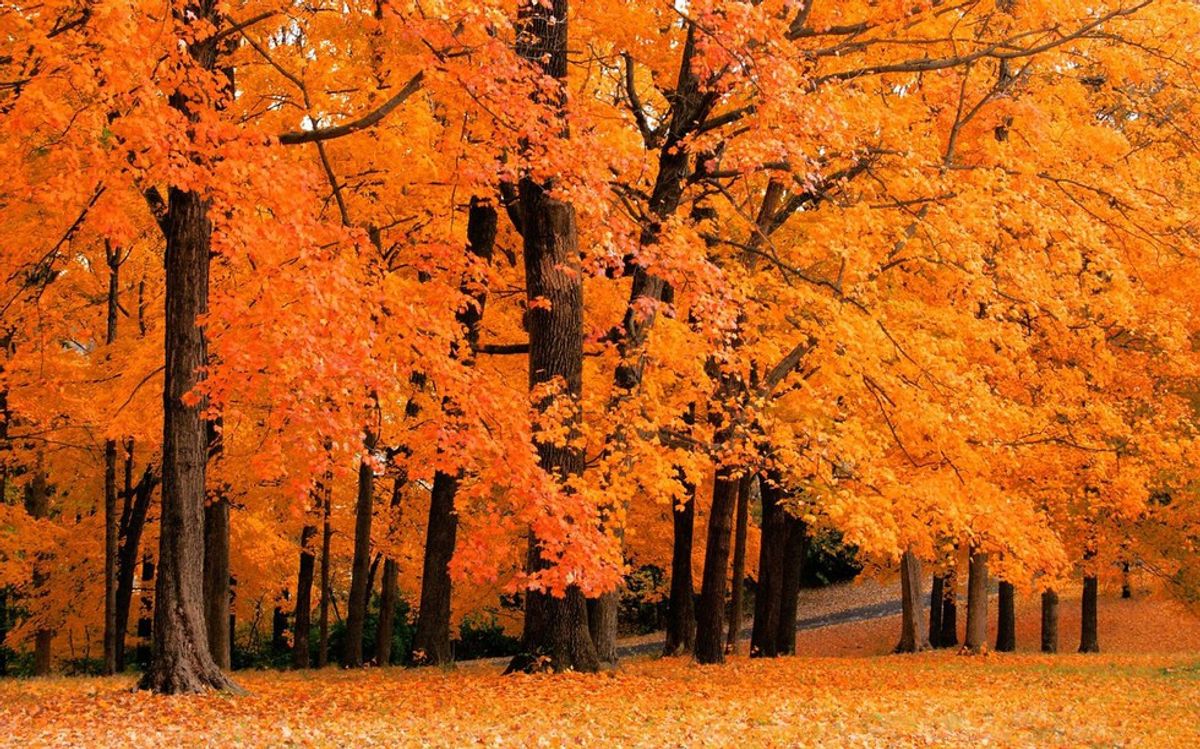 12 Reasons You Should Be Excited For Fall